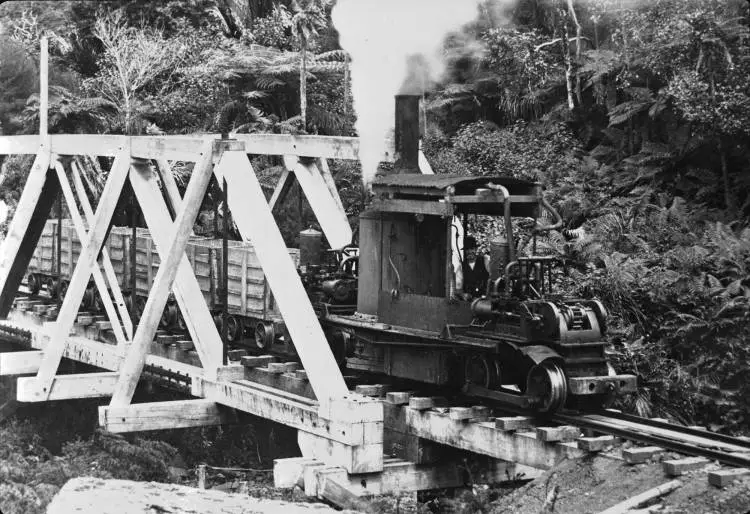 Engine 'Angelina' on tramline bridge over Nihotupu Stream. (Detail)