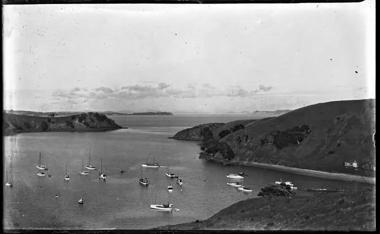 Matiatia Harbour, Waiheke Island.