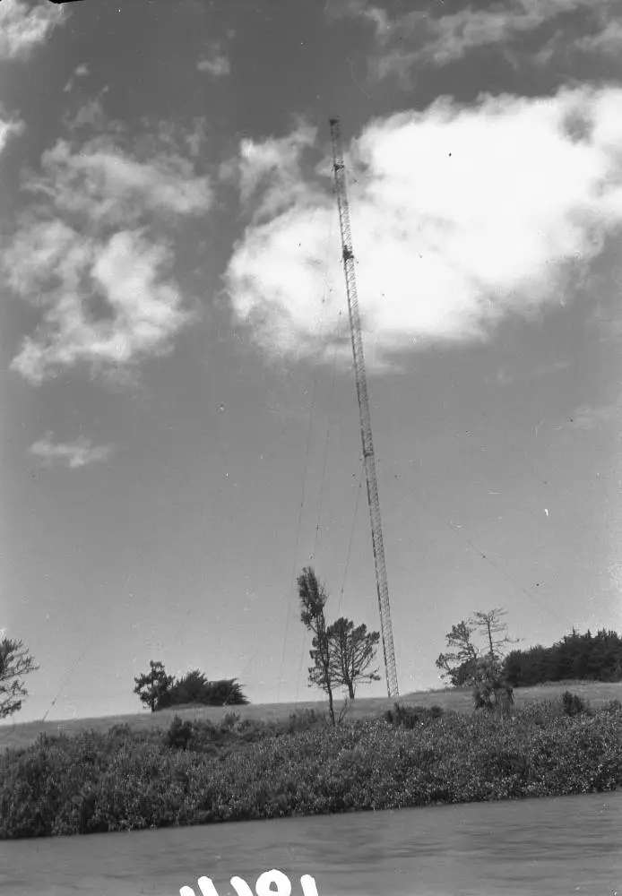 Radio mast south of motorway, Henderson.