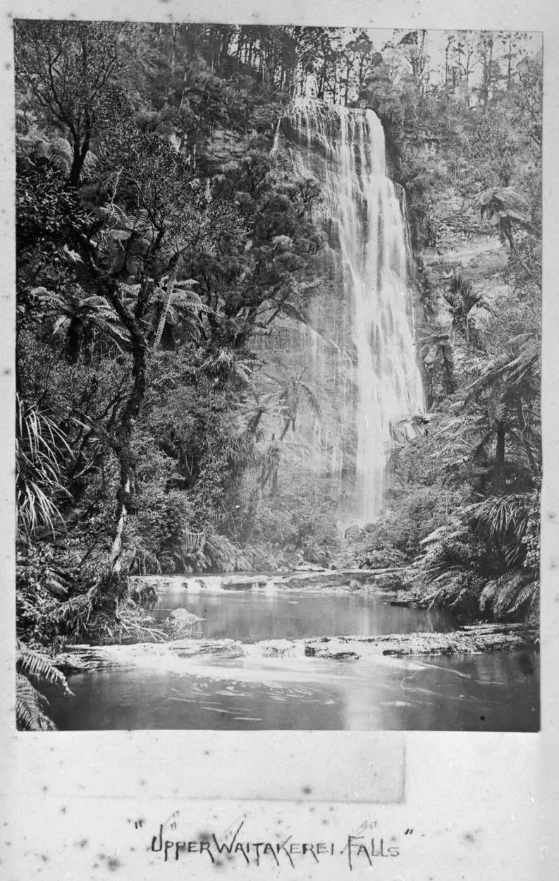 Upper Waitakere Falls, Cascade Kauri Park.
