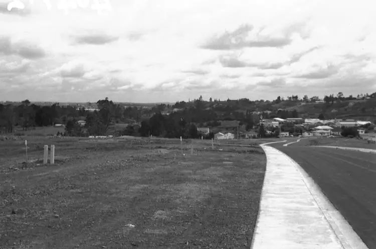 Sunvue Estate, Glen Eden.