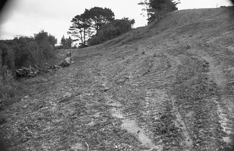 Midden site by Luckens Reserve, West Harbour.