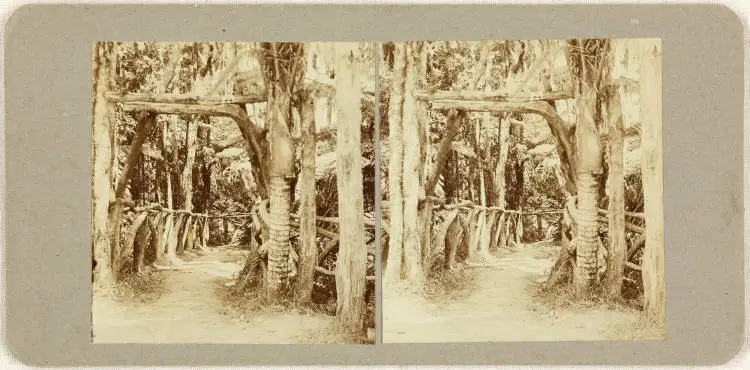Zig-Zag Track, Titirangi, 1920