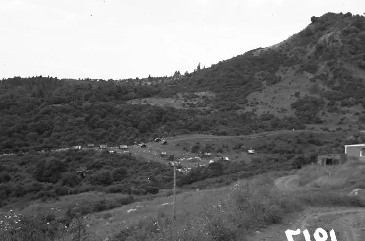 Poultry Farm near Henderson.
