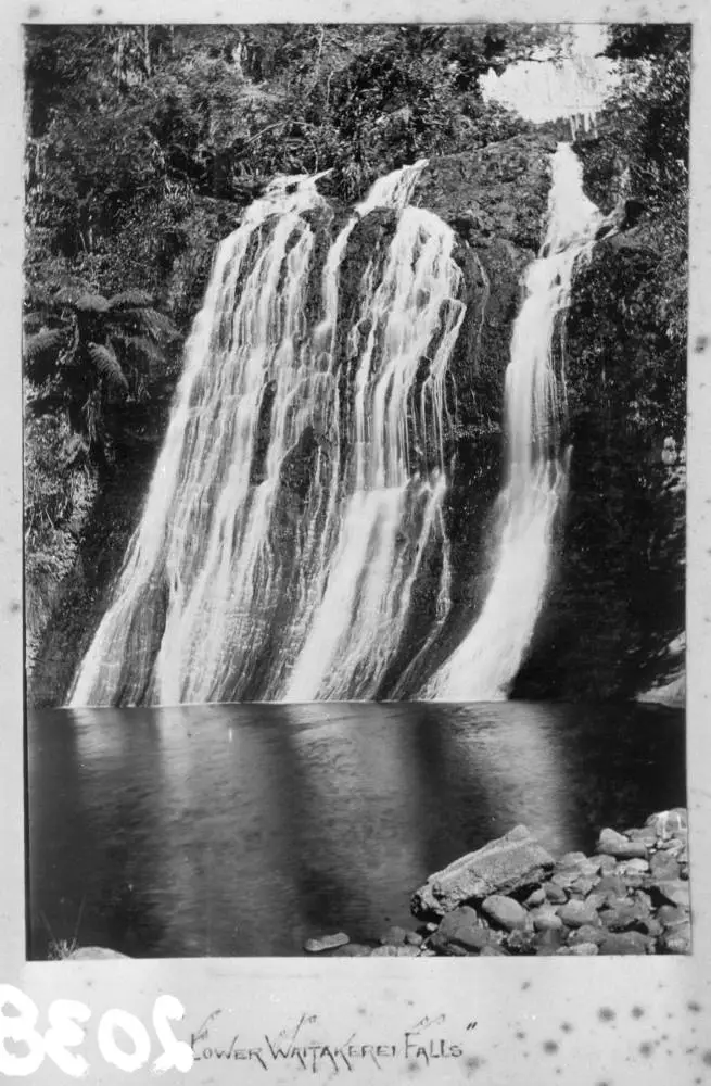 Lower Waitakere Falls, Cascade Kauri Park.