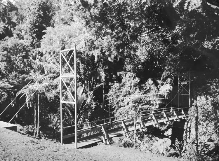 Swing bridge, Cascade Kauri Park.