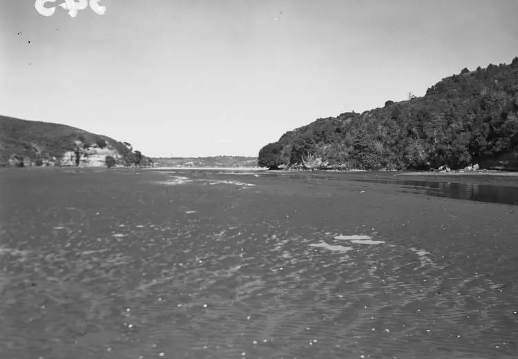 Kakamatua Inlet, Cornwallis.