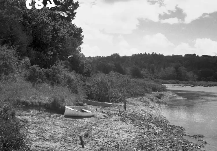 Brick bats at Scott's landing, Henderson Creek.