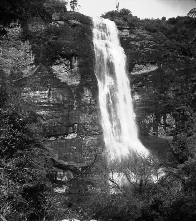 Upper Waitakere Falls, Cascade Kauri Park.
