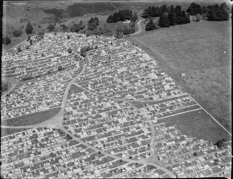 Purewa Cemetery, Meadowbank, from the air