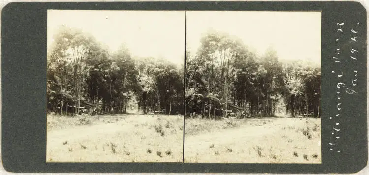 Titirangi Park, Titirangi.