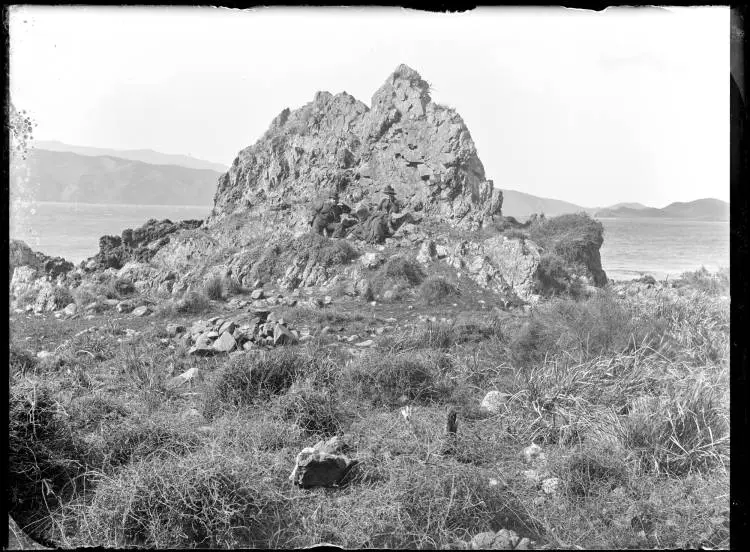 Moa Point, Wellington