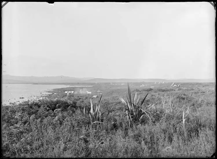 Camp at Omapere? 1900