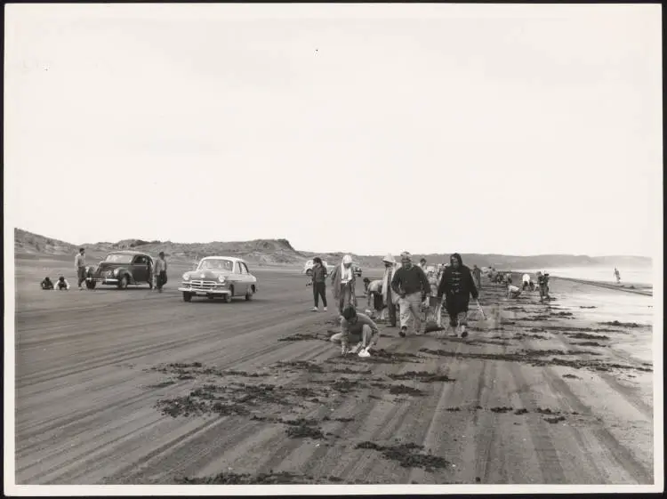 Digging for toheroa at Muriwai Beach, 1962