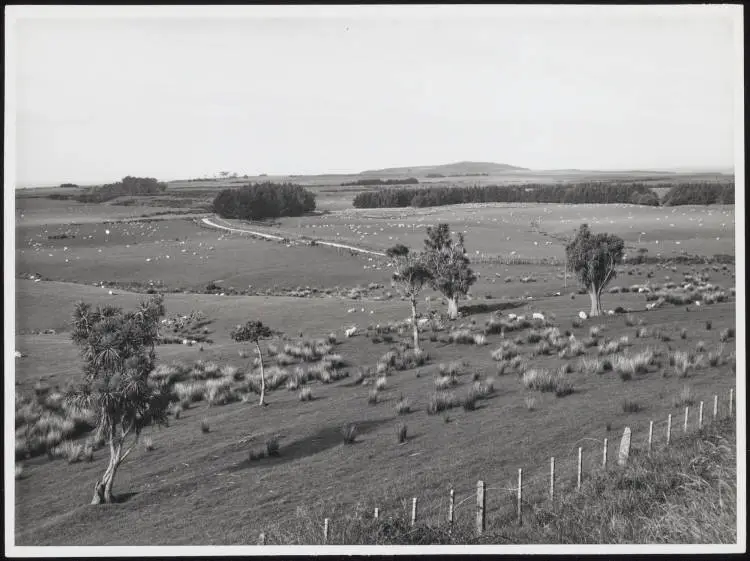 Mahia Peninsula, Hawkes Bay