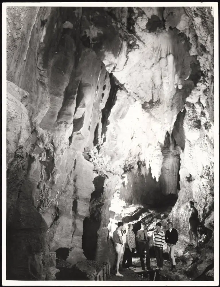Waiomio caves