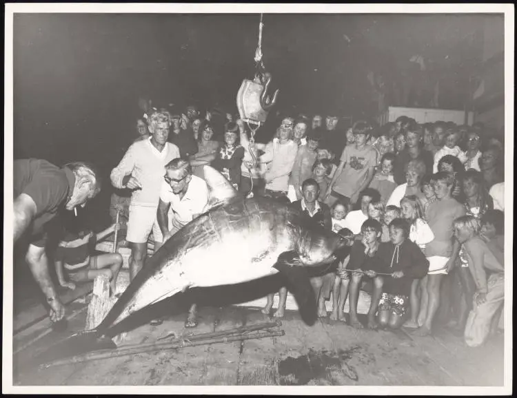 A 347lb mako shark caught on a 18lb line being weighed