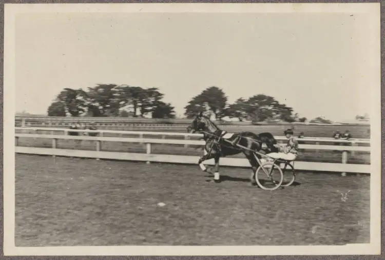 Alexandra Park Racecourse