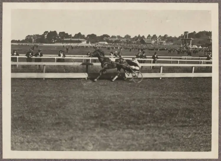 Alexandra Park Racecourse