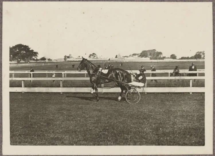 Alexandra Park Racecourse