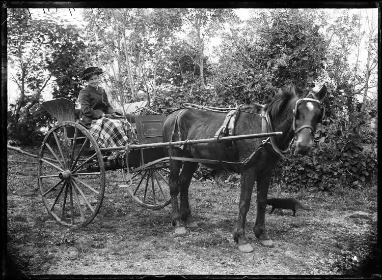 Horse and trap, 1904