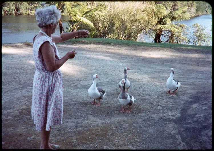 Alethea Rowntree feeding geese, 1969