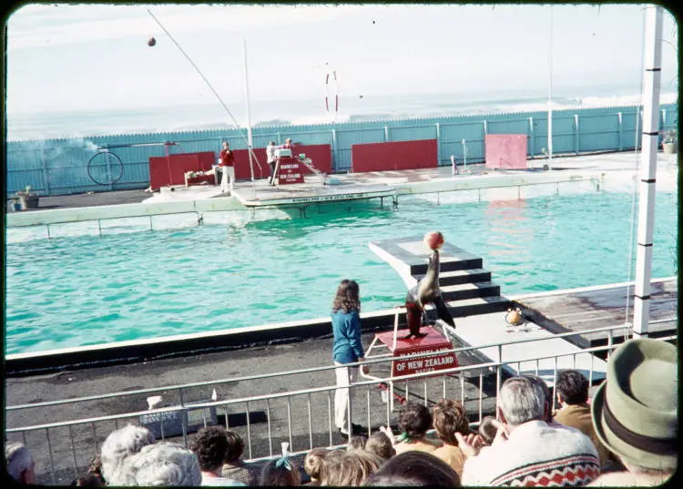 Marineland, Napier, 1970