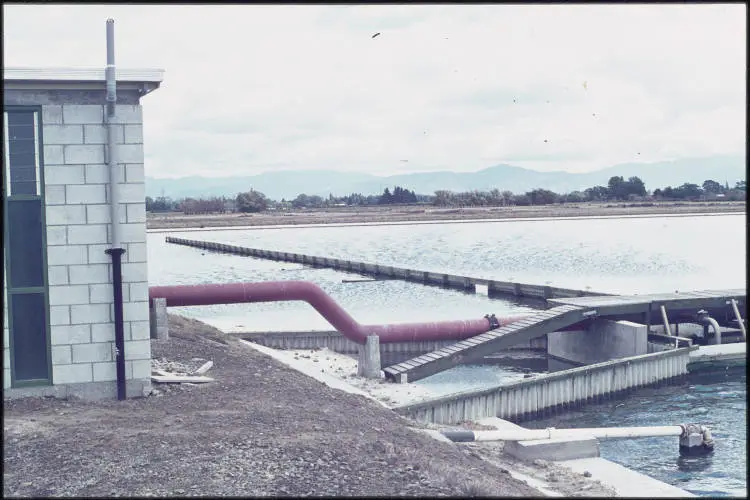 Blenheim Oxidation Pond, 1971