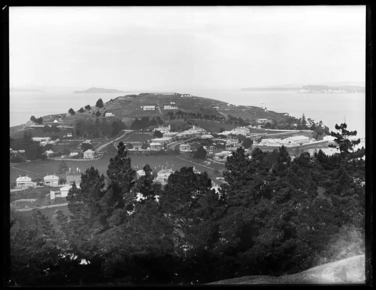 North Head from Mount Victoria, Devonport, 1904