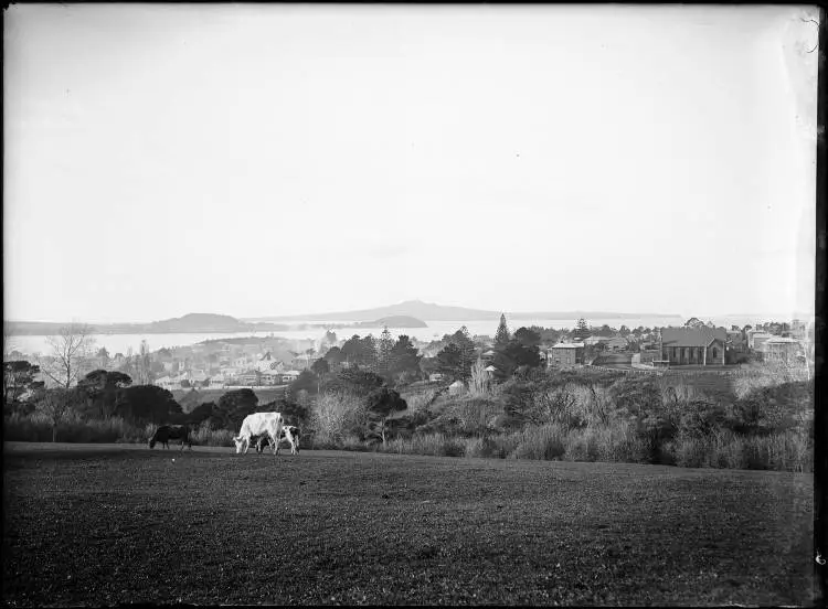 Parnell from the Auckland Domain, 1900