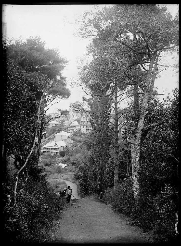 Parnell from the Auckland Domain, 1901