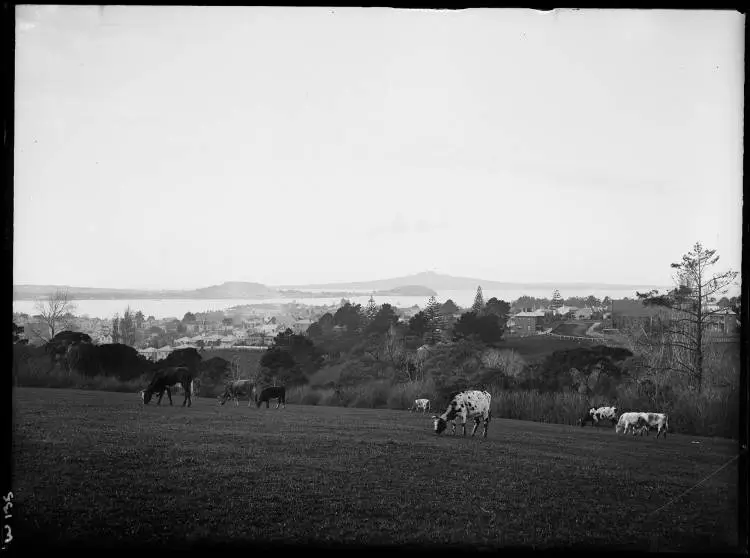 Parnell and the Waitematā Harbour from the Auckland Domain, 1900