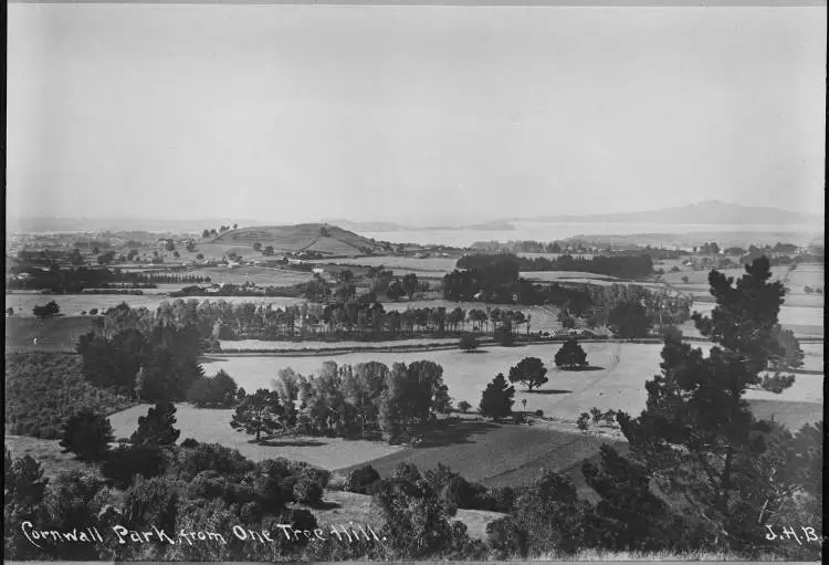 Cornwall Park and Rangitoto from One Tree Hill, 1901
