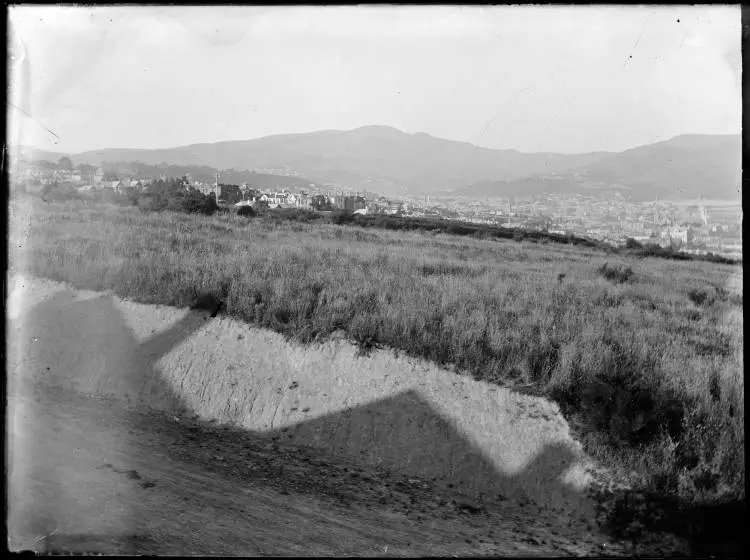 Dunedin
