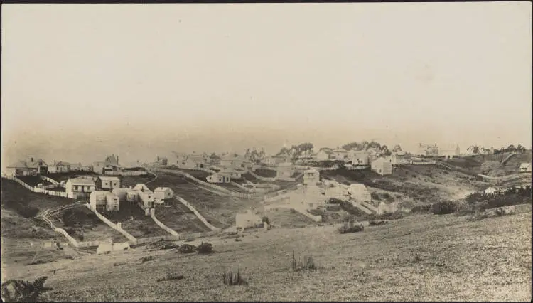 Houses in Newton Gully