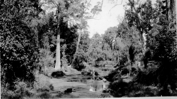 Mawley Park, Masterton