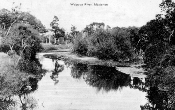 Waipoua River, Masterton