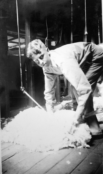 Geoff Cameron shearing : digital image