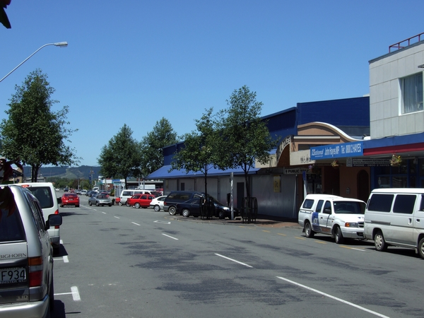 Bannister Street, Masterton : digital image