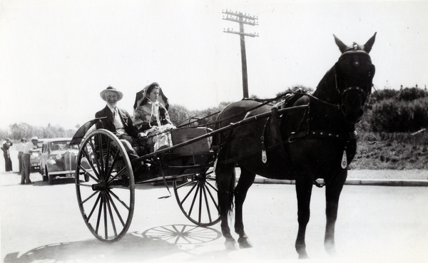 Harry Preston in a horse-drawn buggy : Photograph