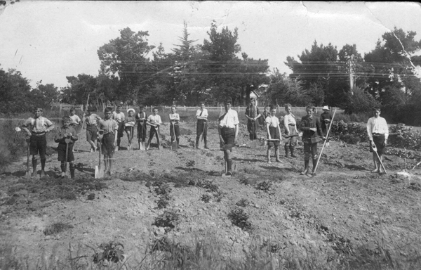 Clareville School garden