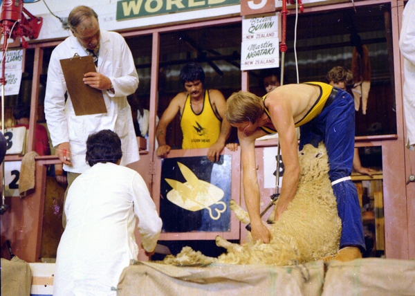 Brian Quinn shearing in Trans-Tasman test, 1980 : digital image