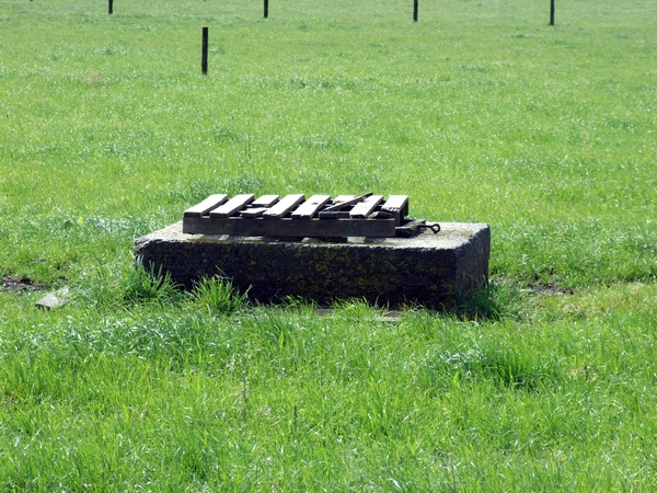 Water well, Featherston Military Camp : digital image