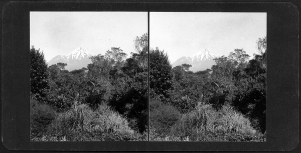 "Distant view of Mt. Egmont" : Stereograph