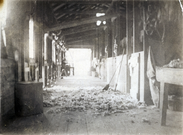 Inside a shearing shed : digital image
