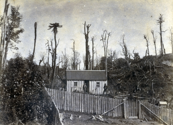 'W.H. Herbert's farm, Cliff Road, Eketahuna'