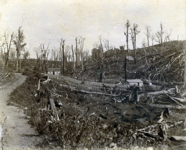 'W.H. Herbert's farm, Cliff Road, Eketahuna'