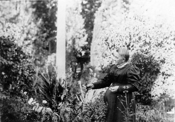 Mrs Haigh in the garden at Te Rakaunui Homestead, Greytown