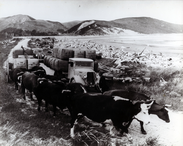 Wool bales transported near Akitio : Photograph