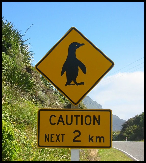 Beware of penguins